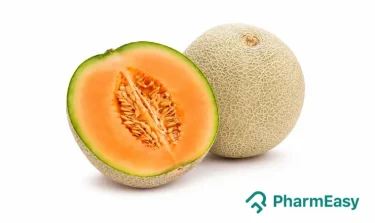 Cantaloupe