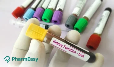 Kidney Function Test