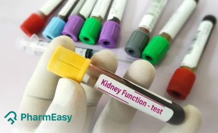 Kidney Function Test