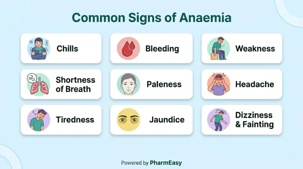 Symptoms of anaemia 