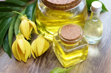 ylang ylang oil