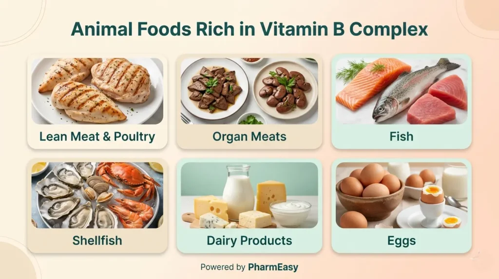 Animal Foods Rich in Vitamin B Complex