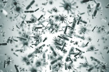 infection