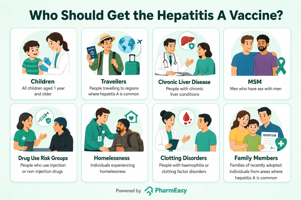 who should get the hepatitis a vaccine