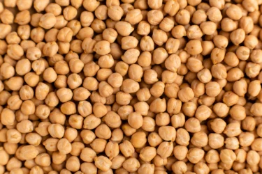 chickpea