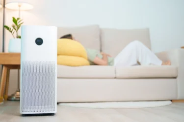 improve indoor air quality 
