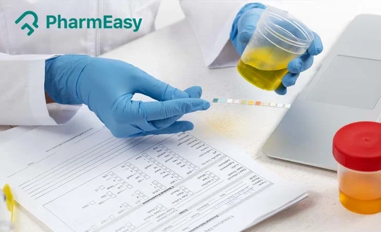 protein in urine