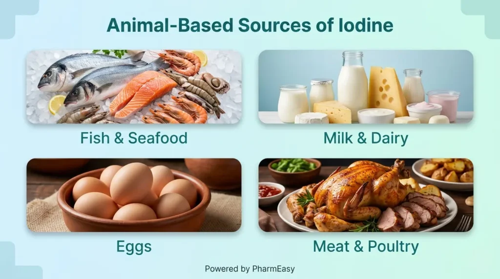 Animal-based iodine