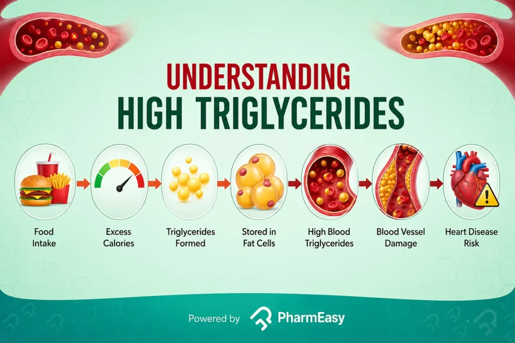 understanding high triglycerides