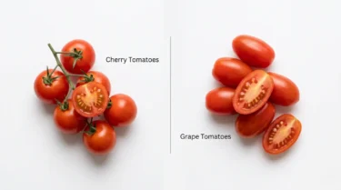 Comparing Cherry Tomatoes and Grape Tomatoes