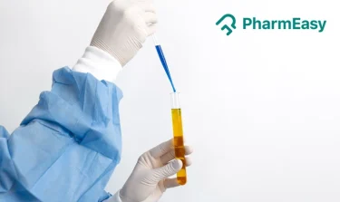 Bacteria in Urine