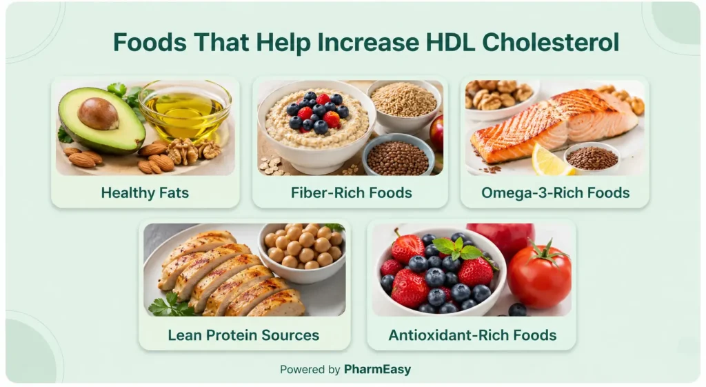 Foods that help increase HDL cholesterol
