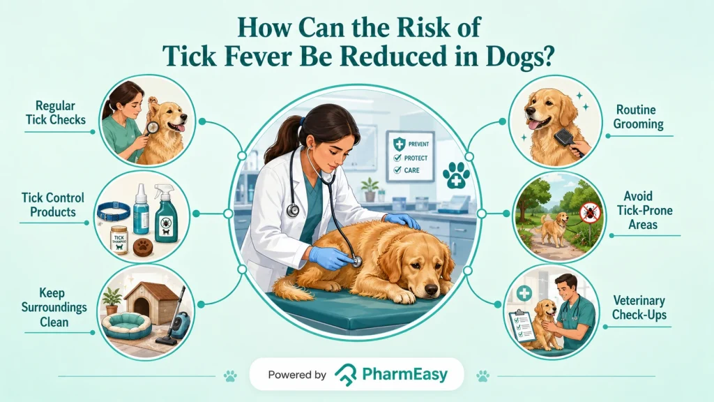 how can the risk of ticks fever be reduced