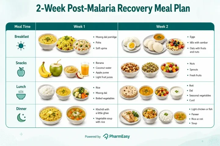 malaria recovery meal plan