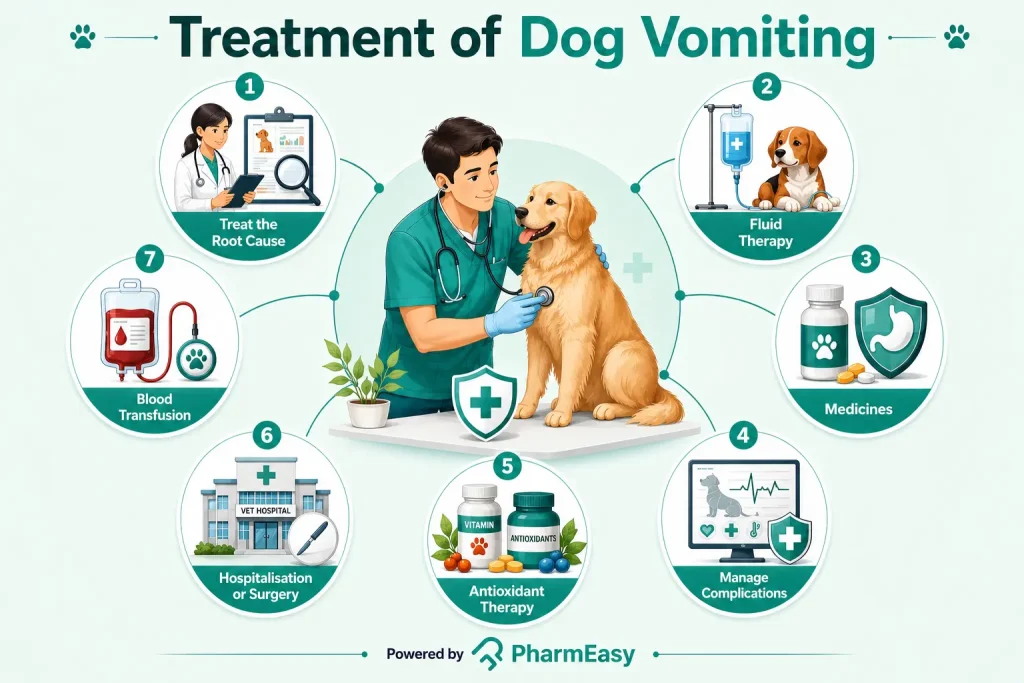 treatment of dog vomiting