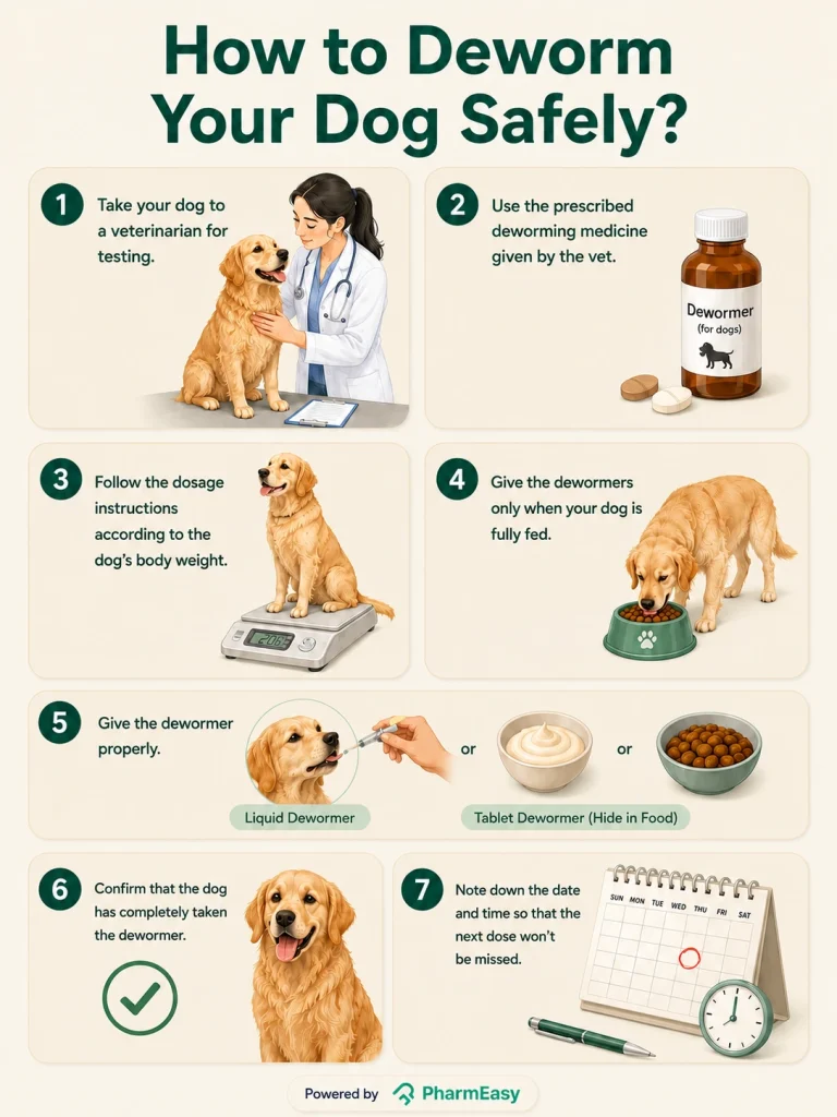 how to deworm your dog safely?