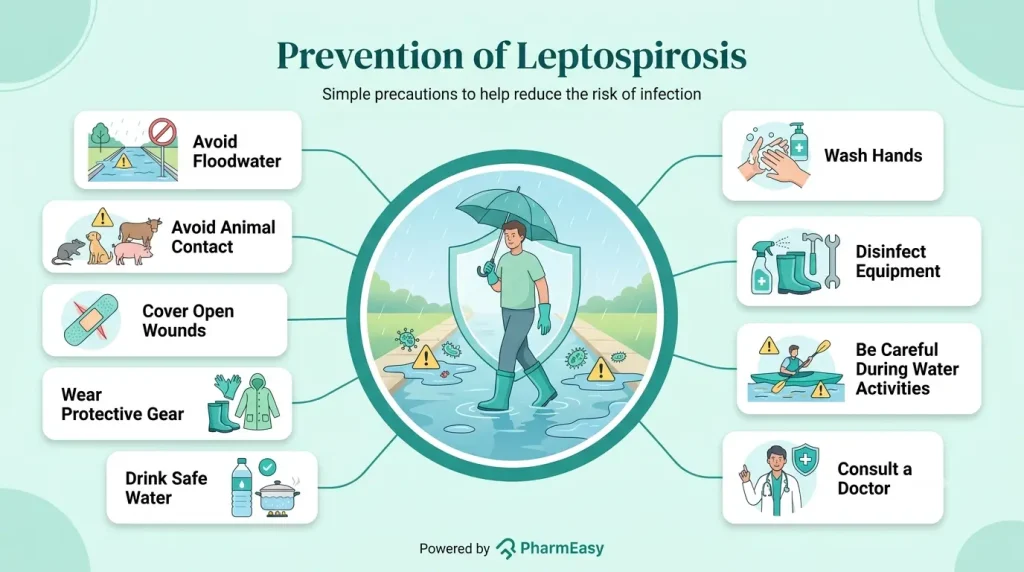 Prevention of Leptospirosis