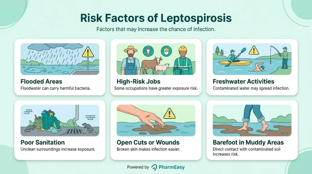 Risk Factors of Leptospirosis