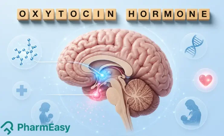 oxytocin Hormones