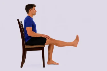 seated knee extension