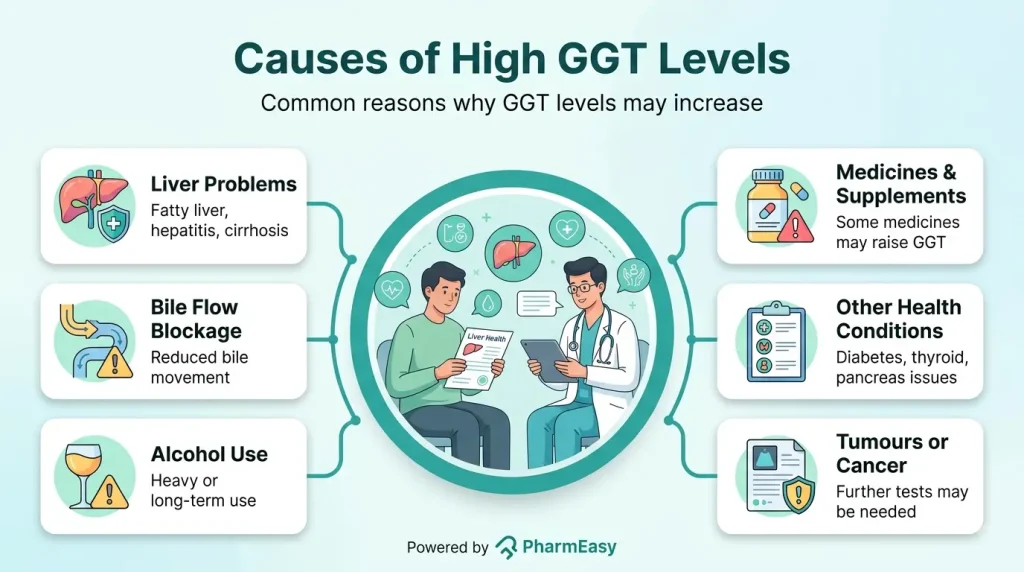 Causes of High GGT Levels