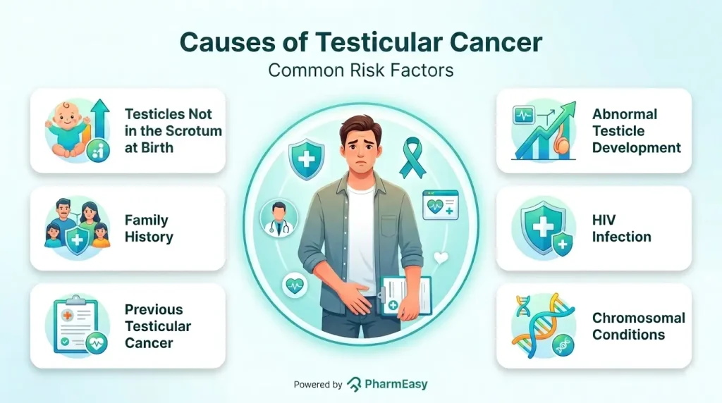 Causes of Testicular Cancer