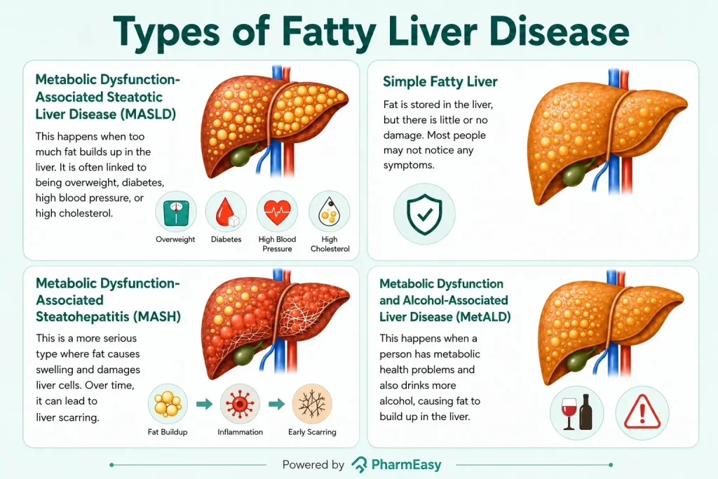Types of Fatty Liver Disease