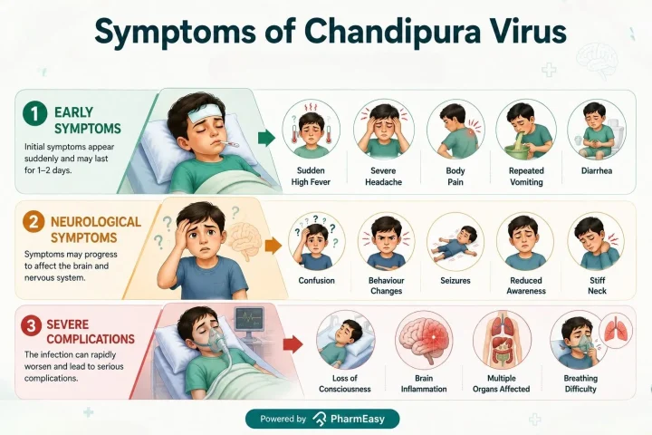 symptoms of chandipura virus