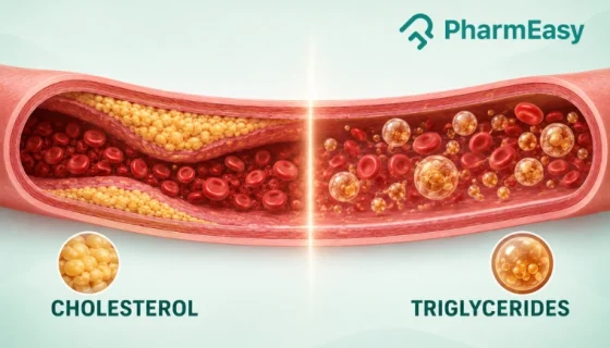 triglycerides vs cholesterol