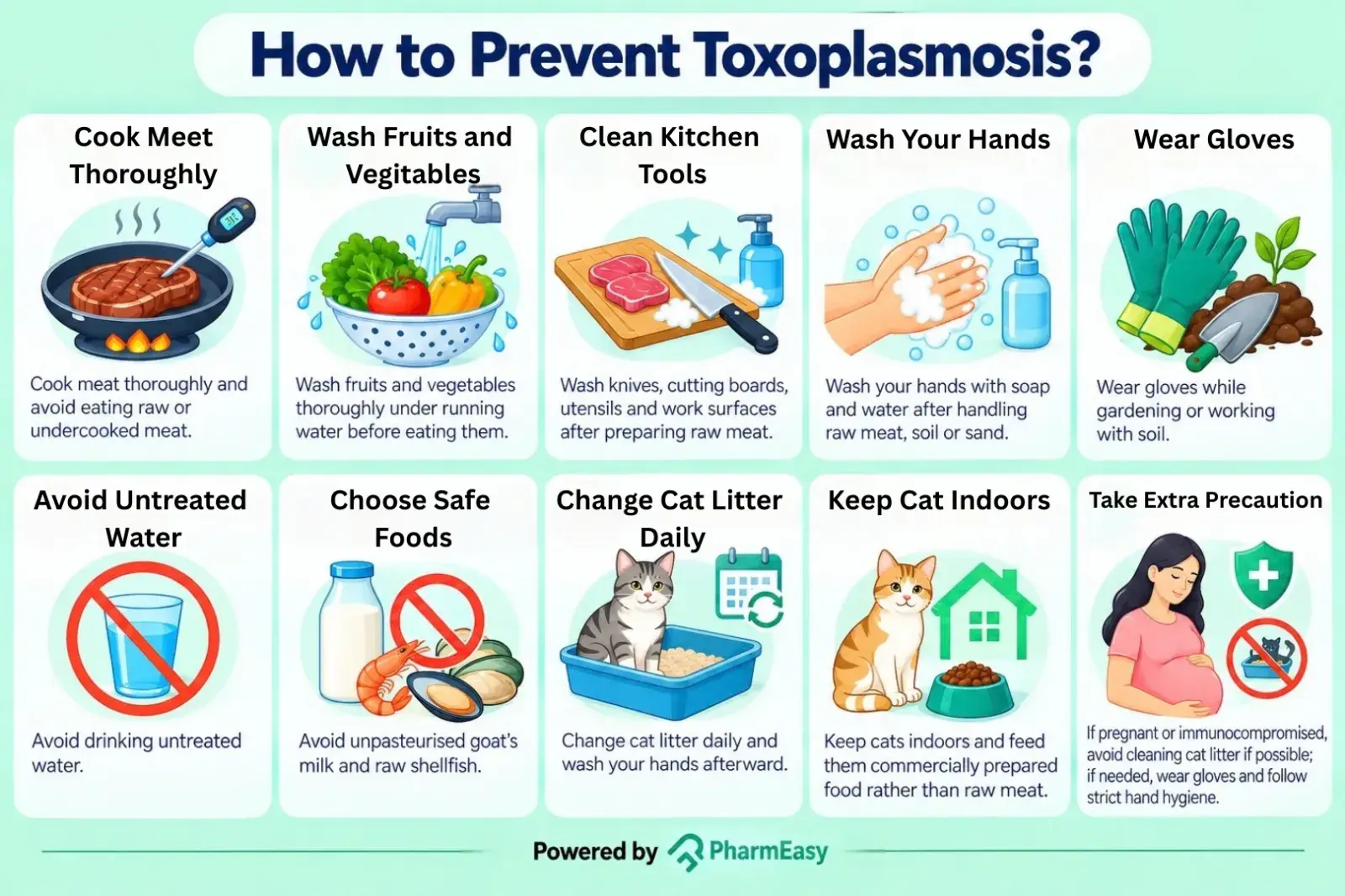 How to Prevent Toxoplasmosis
