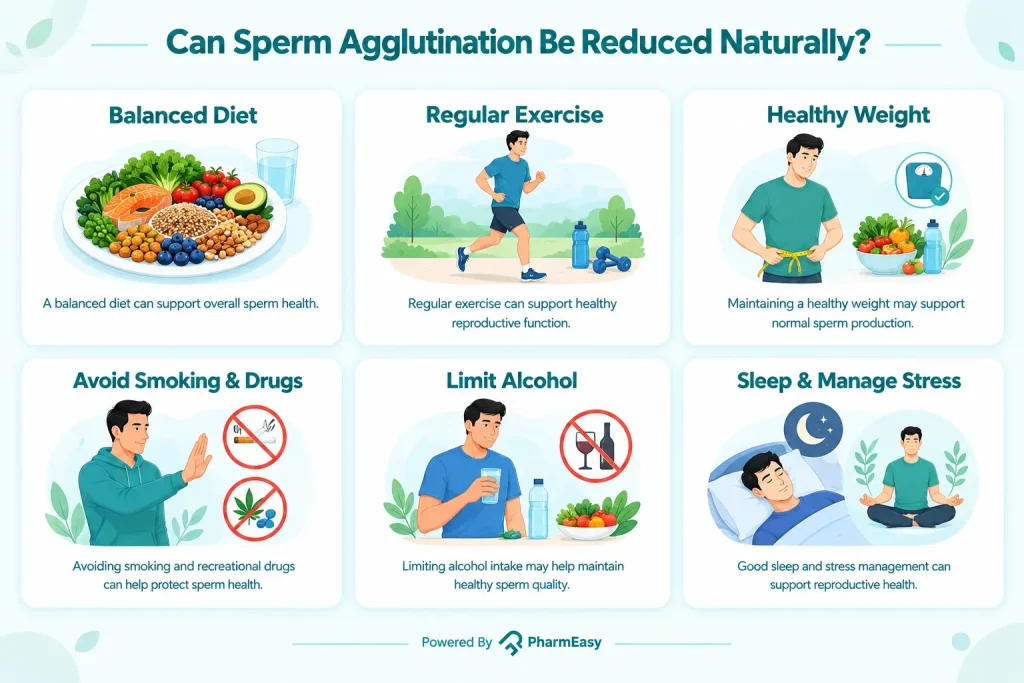 Can Sperm Agglutination Be Reduced Naturally