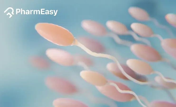 agglutination in sperm