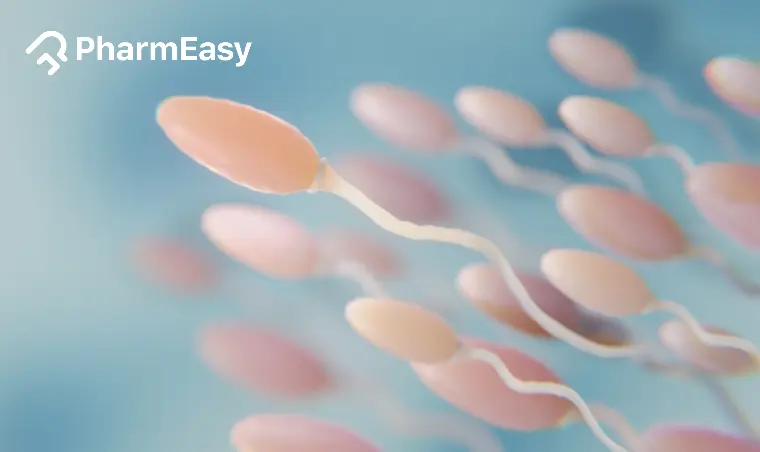 Sperm Agglutination: Meaning, Causes, Symptoms, Diagnosis & Treatment 