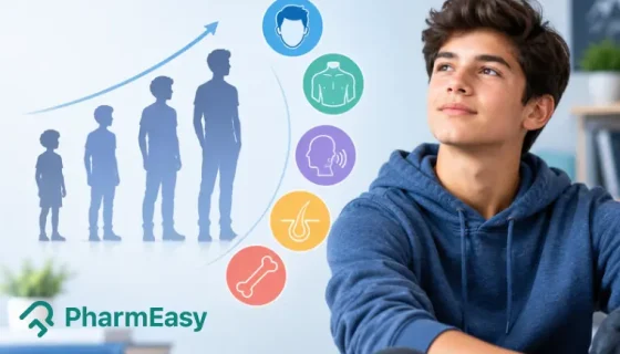 male puberty