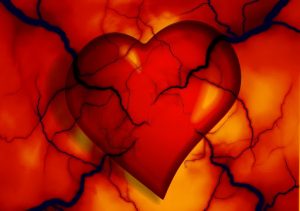 Types of congenital heart disease