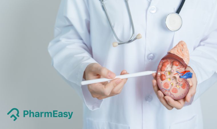 What Are Kidney Stone Symptoms, Causes, and Treatments