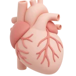Heart Health